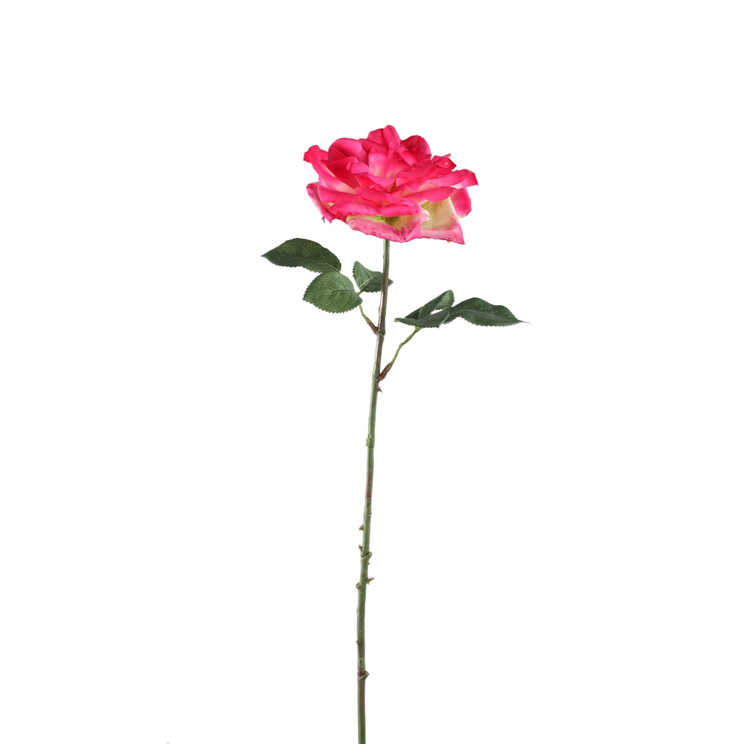 Rose Flower Bright Pink Rose Spray With Leaves
