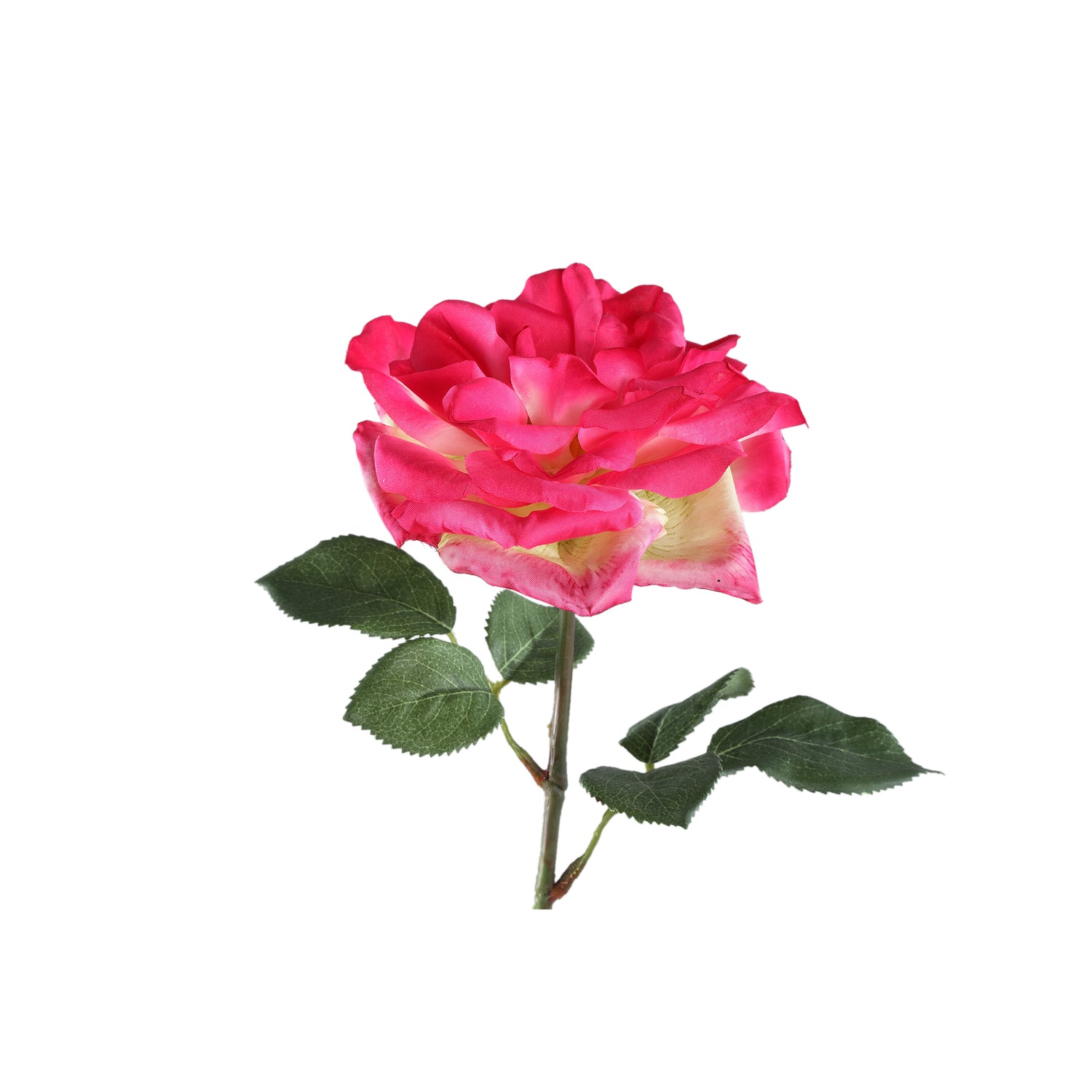 Rose Flower Bright Pink Rose Spray With Leaves