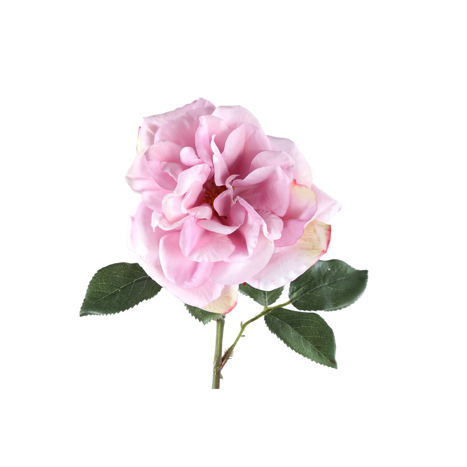 Rose Flower Lilac Rose Spray With Leaves