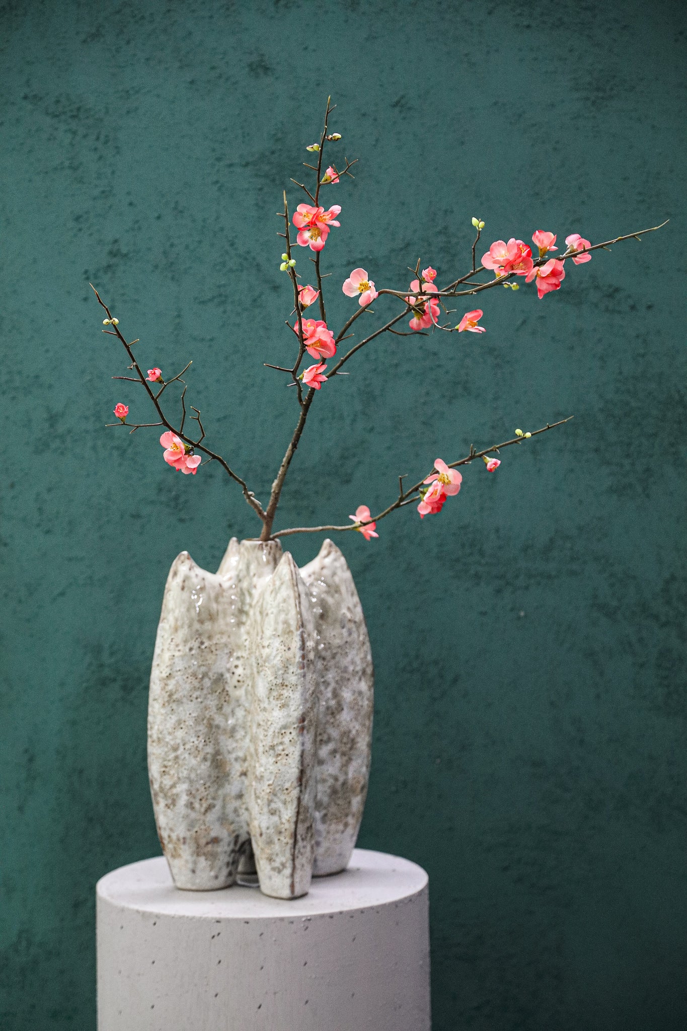 Blossom Flower Pink Cherry Blossom S