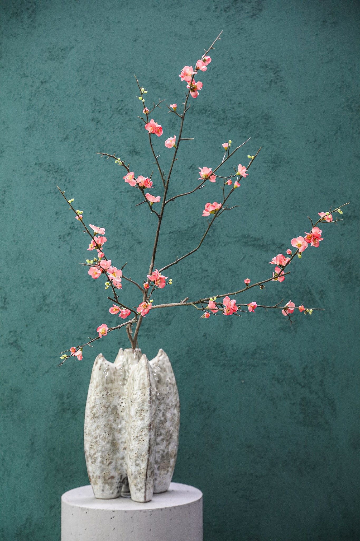 Blossom Flower Pink Cherry Blossom L