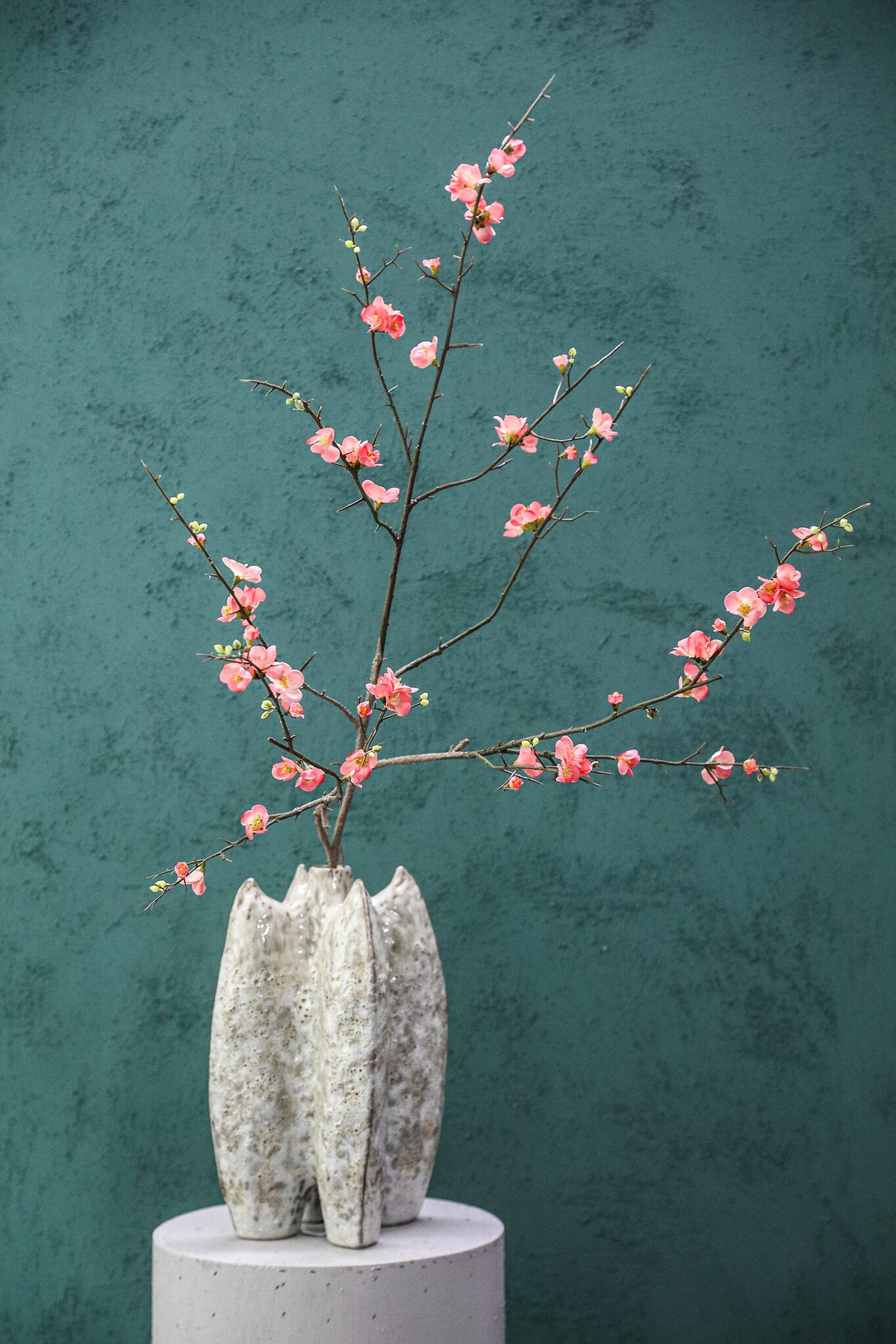 Blossom Flower Pink Cherry Blossom L