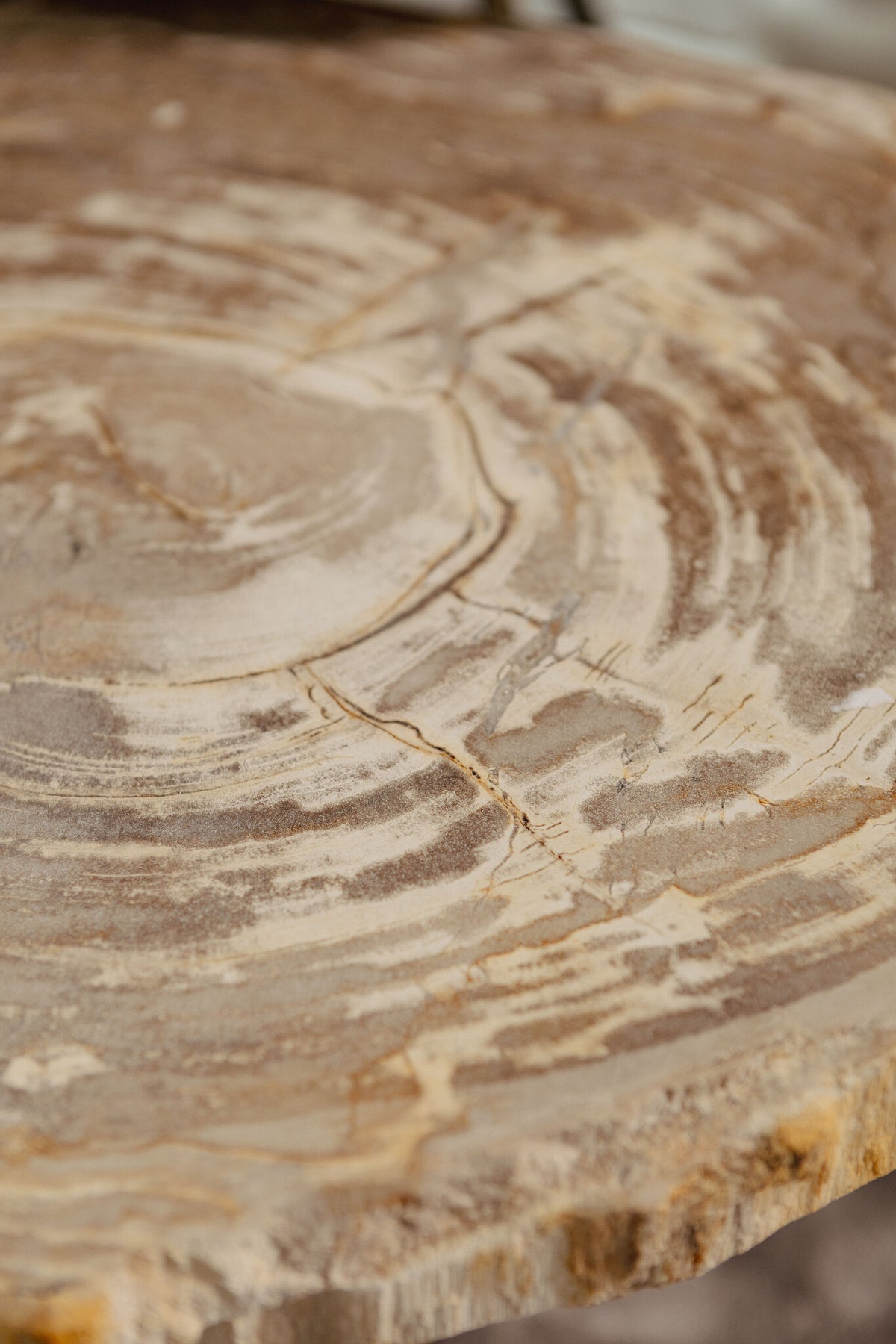 New Khine Petrified Wood Coffee Table Brass SV3