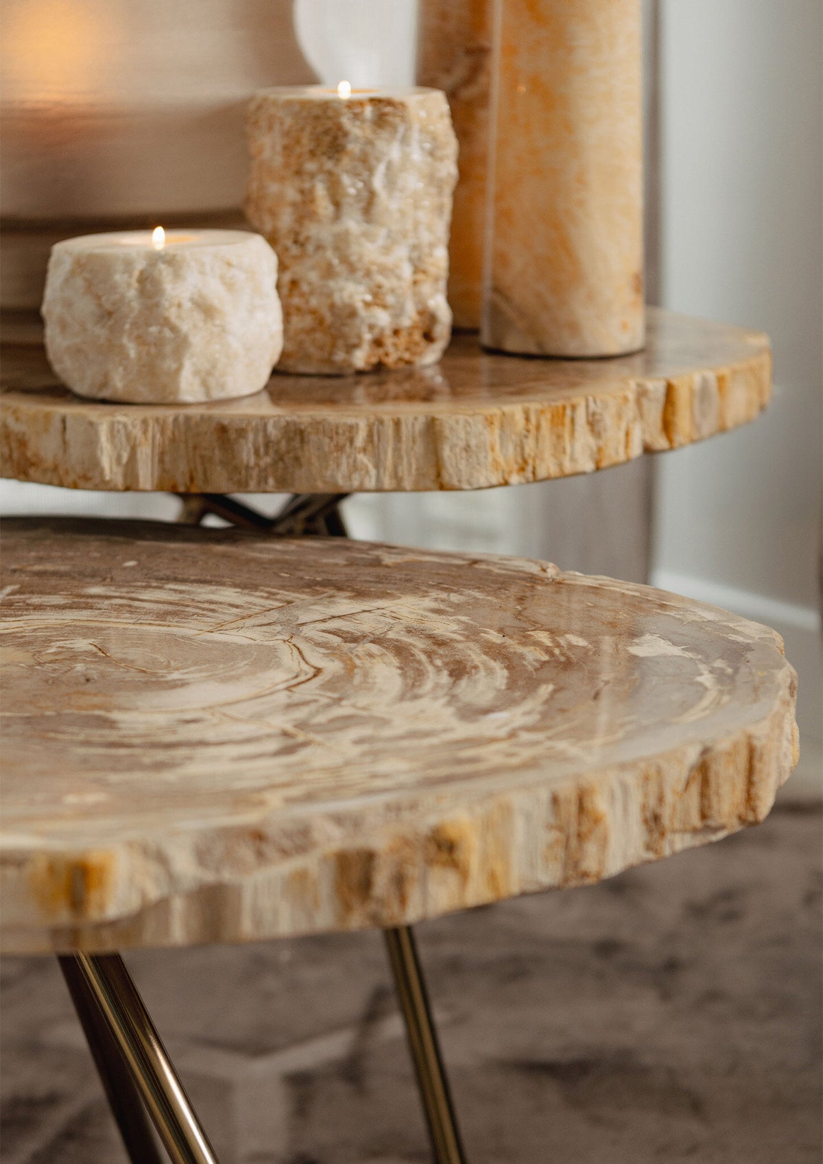 New Khine Petrified Wood Coffee Table Brass SV3