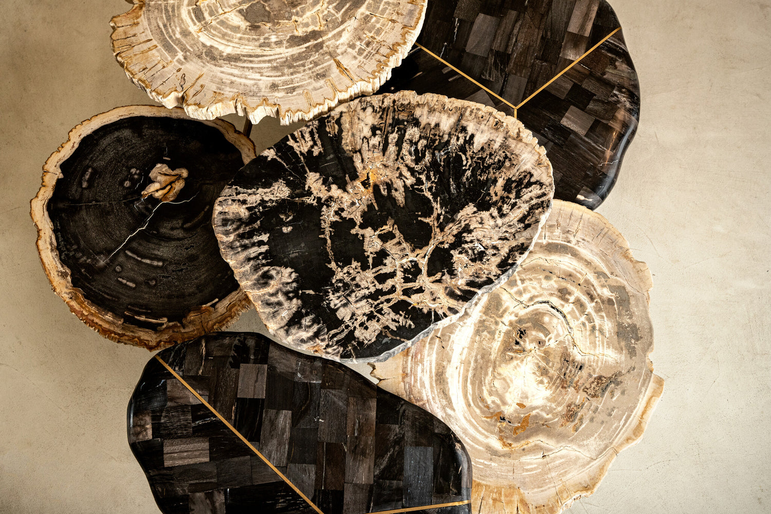 New Khine Petrified Wood Coffee Table Brass SV3