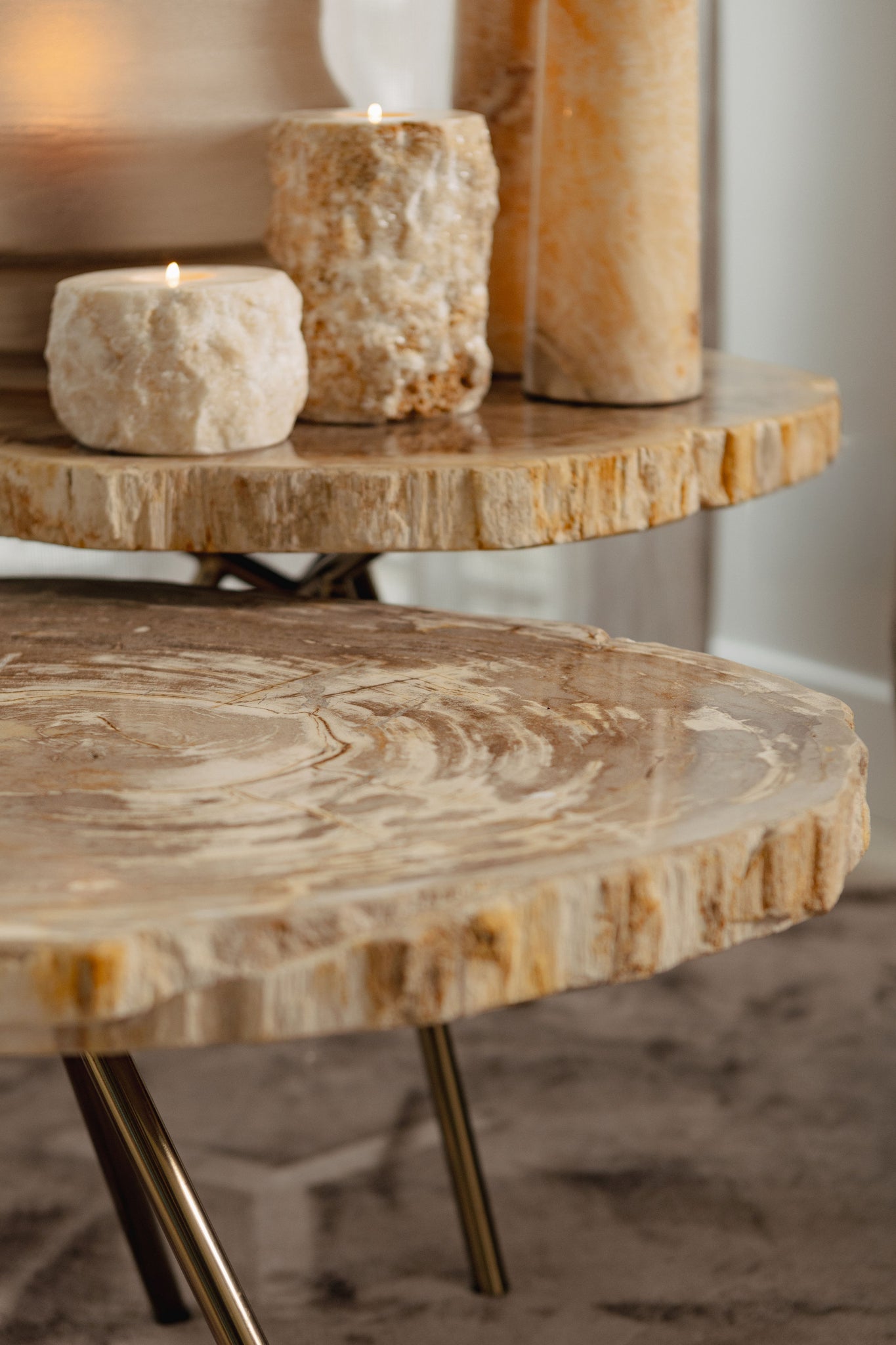 New Khine Petrified Wood Coffee Table Brass SV3