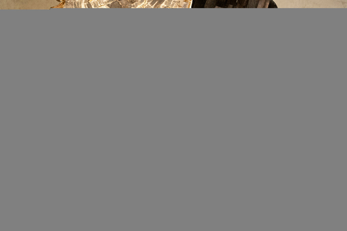 New Khine Petrified Wood Coffee Table Brass SV3