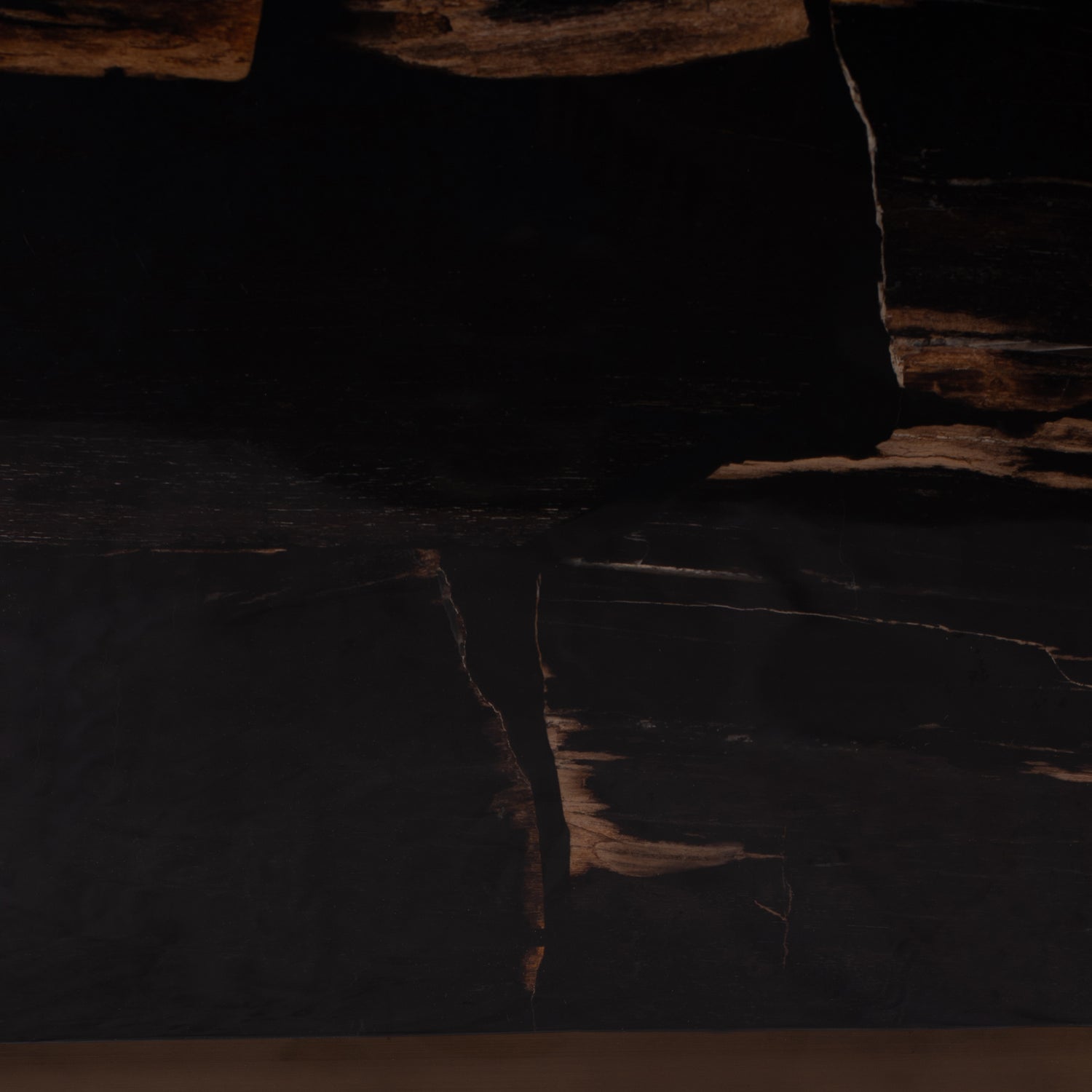 Rayn Petrified Wood Black Coffeetable M