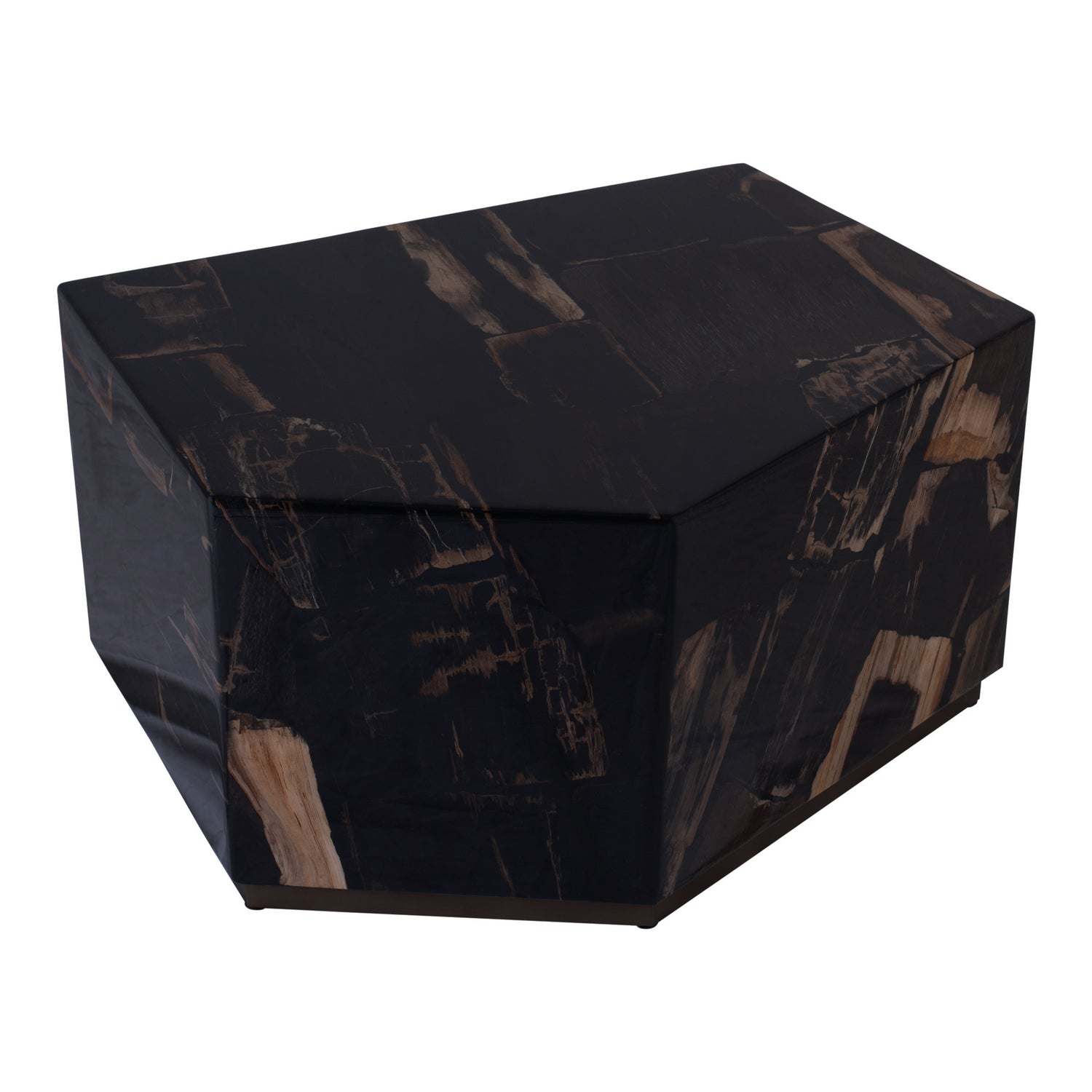 Rayn Petrified Wood Black Coffeetable M