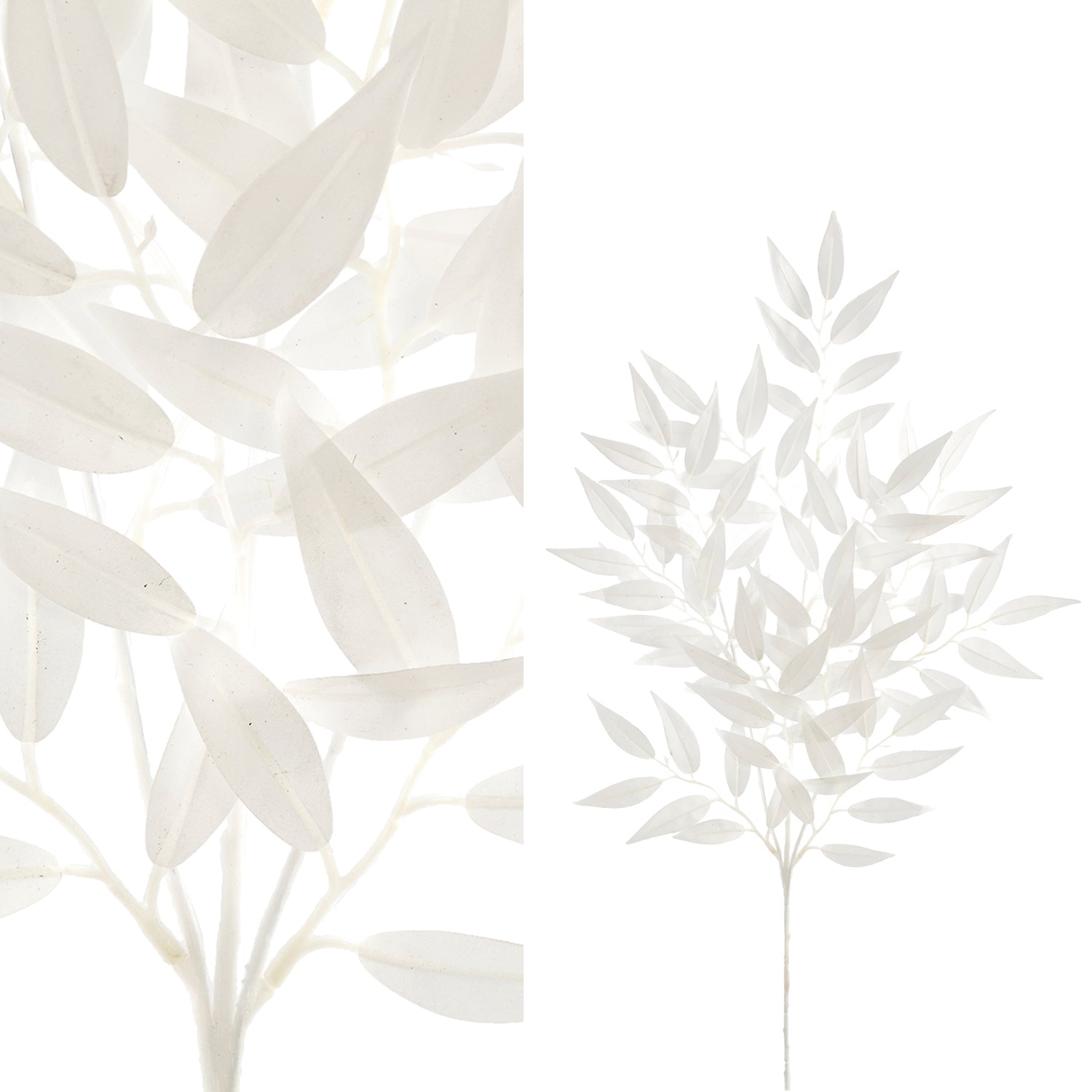 Leaves Plant White Smilax Spray