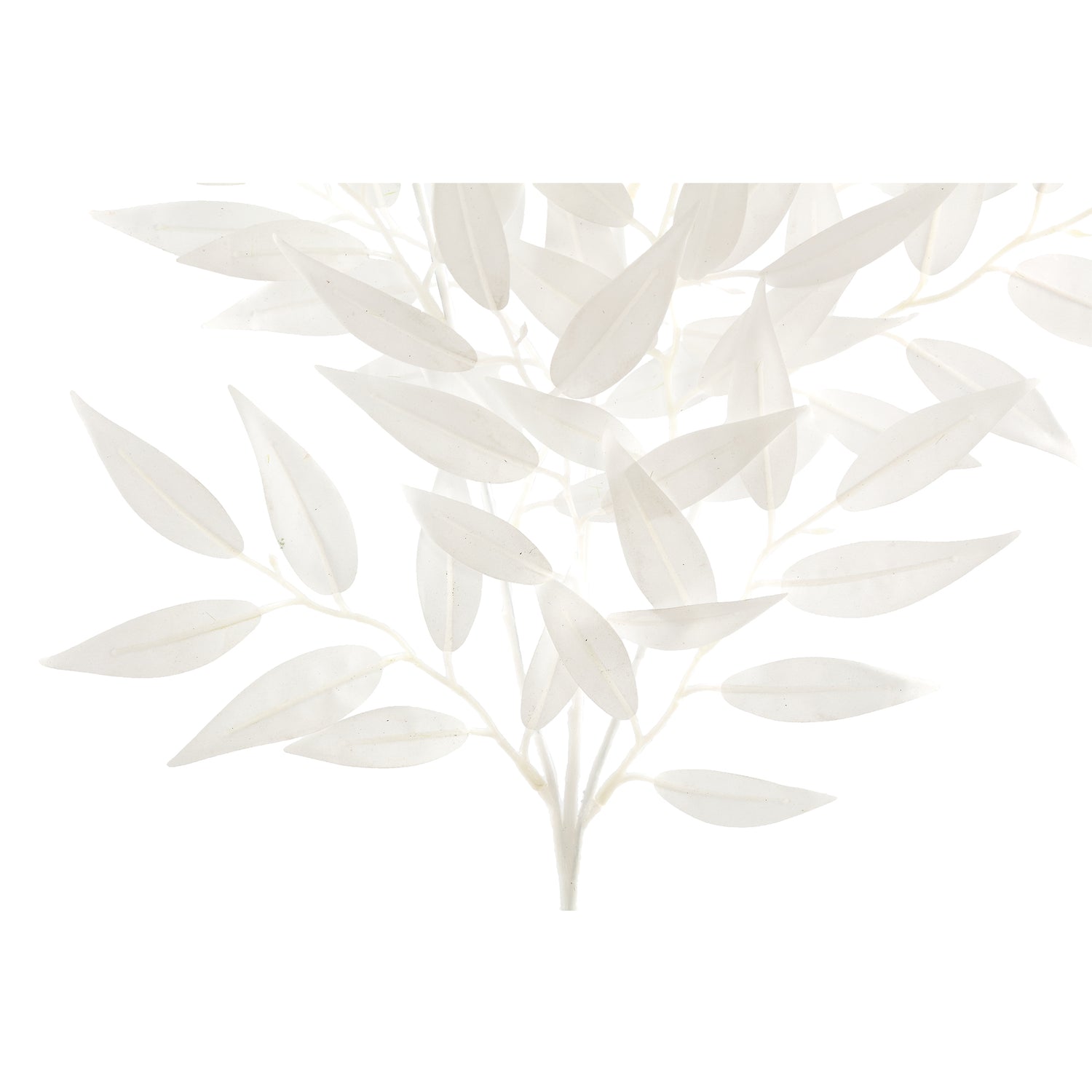 Leaves Plant White Smilax Spray