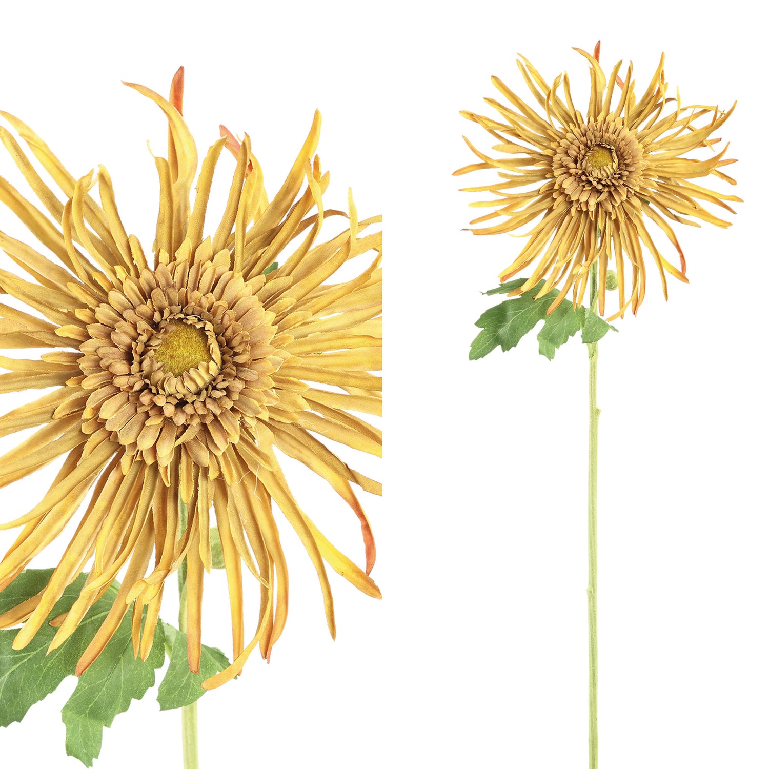 Garden Flower Yellow Mum Spray With Bud B