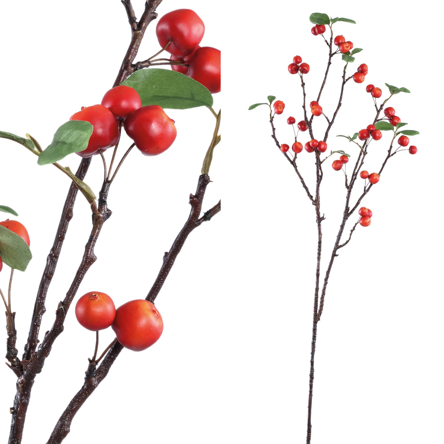 Leaves Plant Red Apple Spray With Leaves