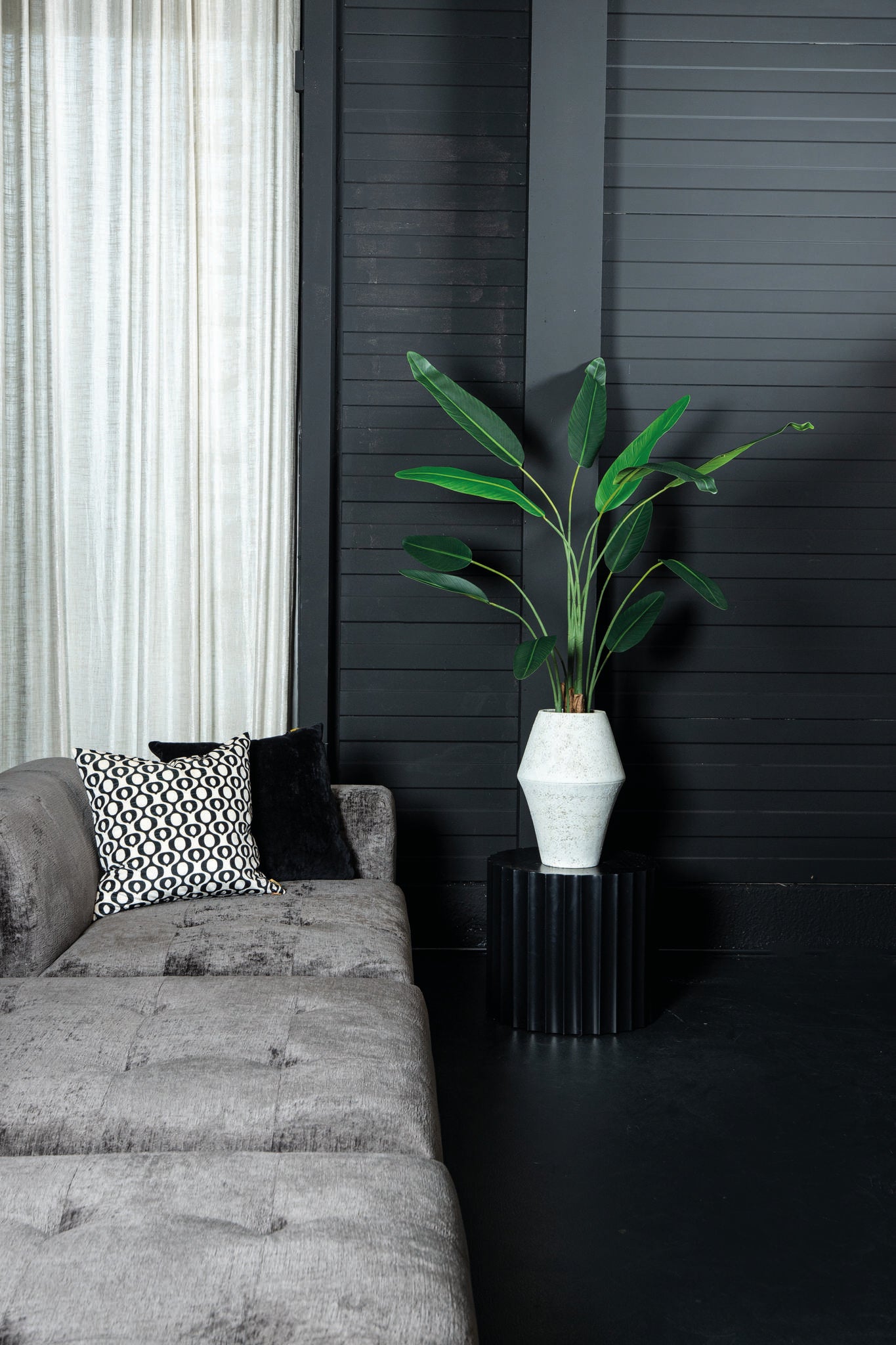 Tree Green Leaf Ravenala In Black Pot S