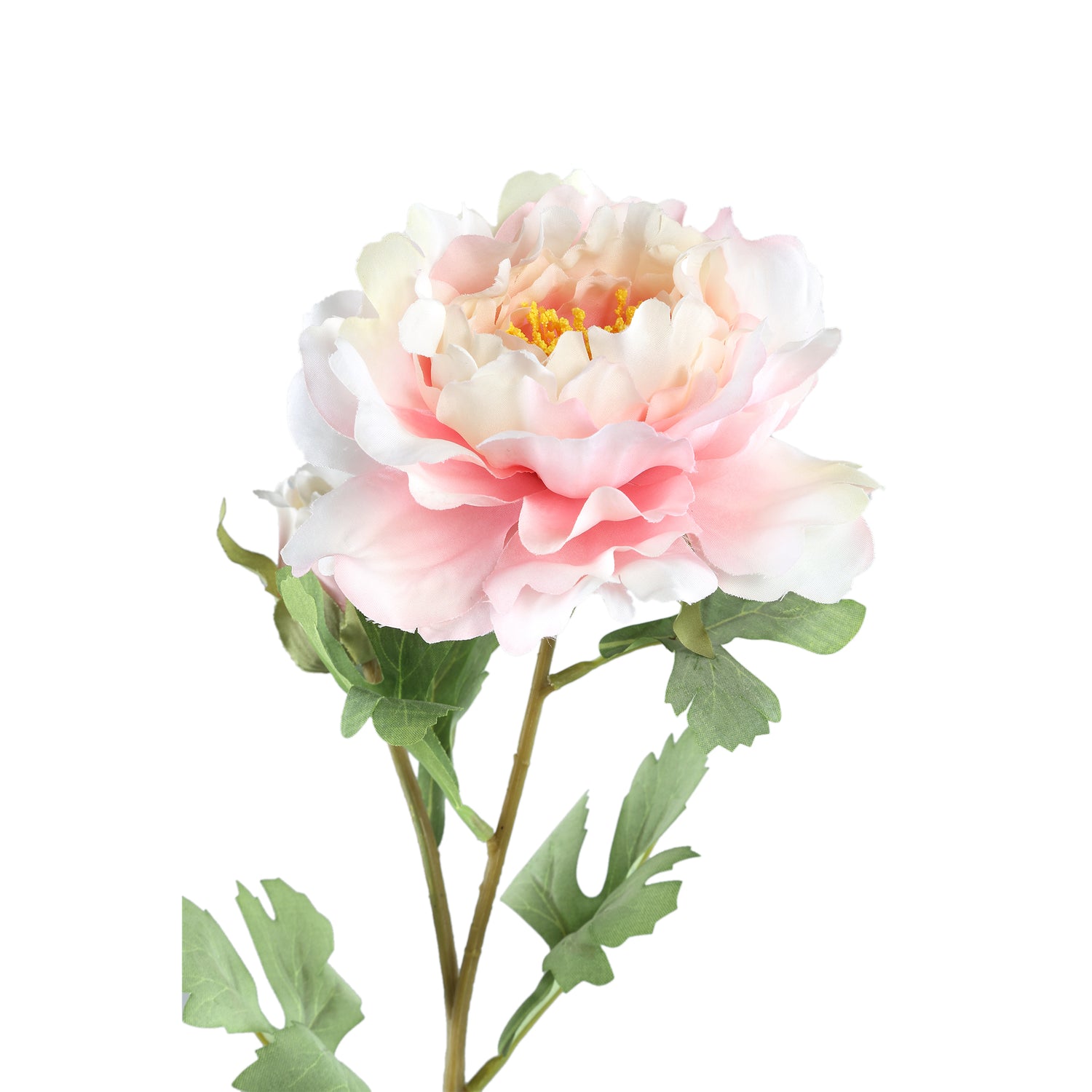 Peony Flower Light Pink With Bud