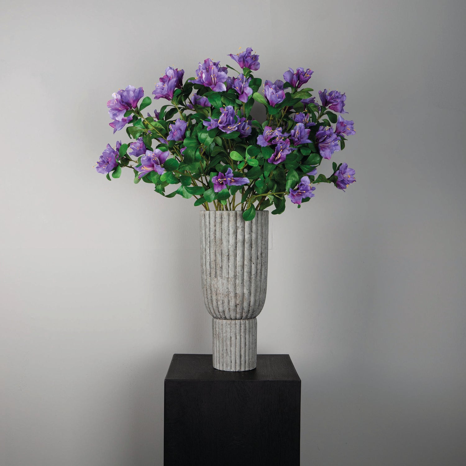 Garden Flower Purple Azalea With Leaves