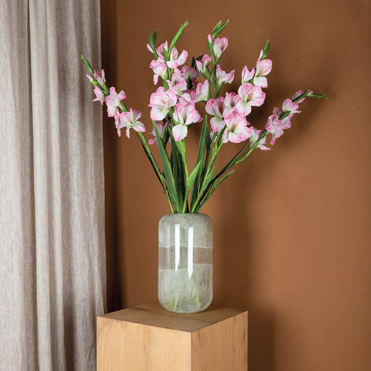 Garden Flower Light Pink Gladiolus With Leaves