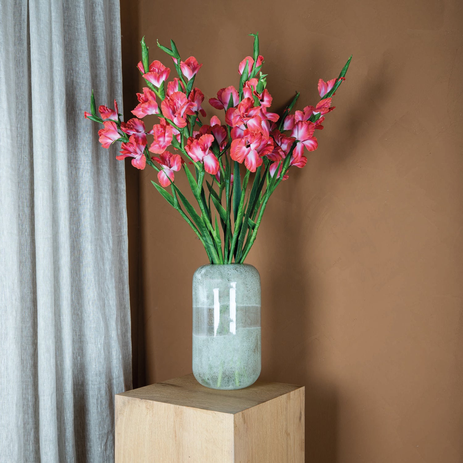 Garden Flower Pink Gladiolus With Leaves