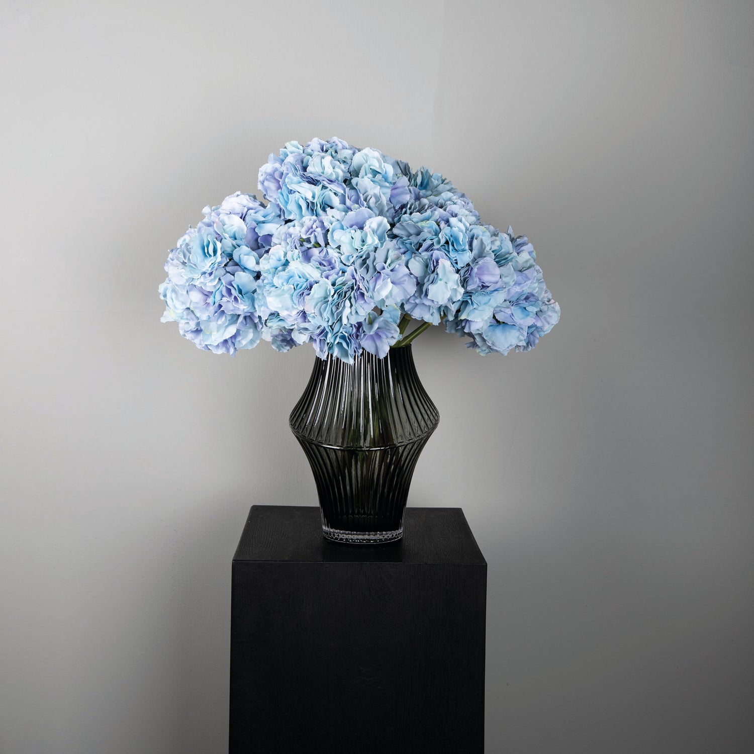 Hydrangea Flower Blue Big Single Flower