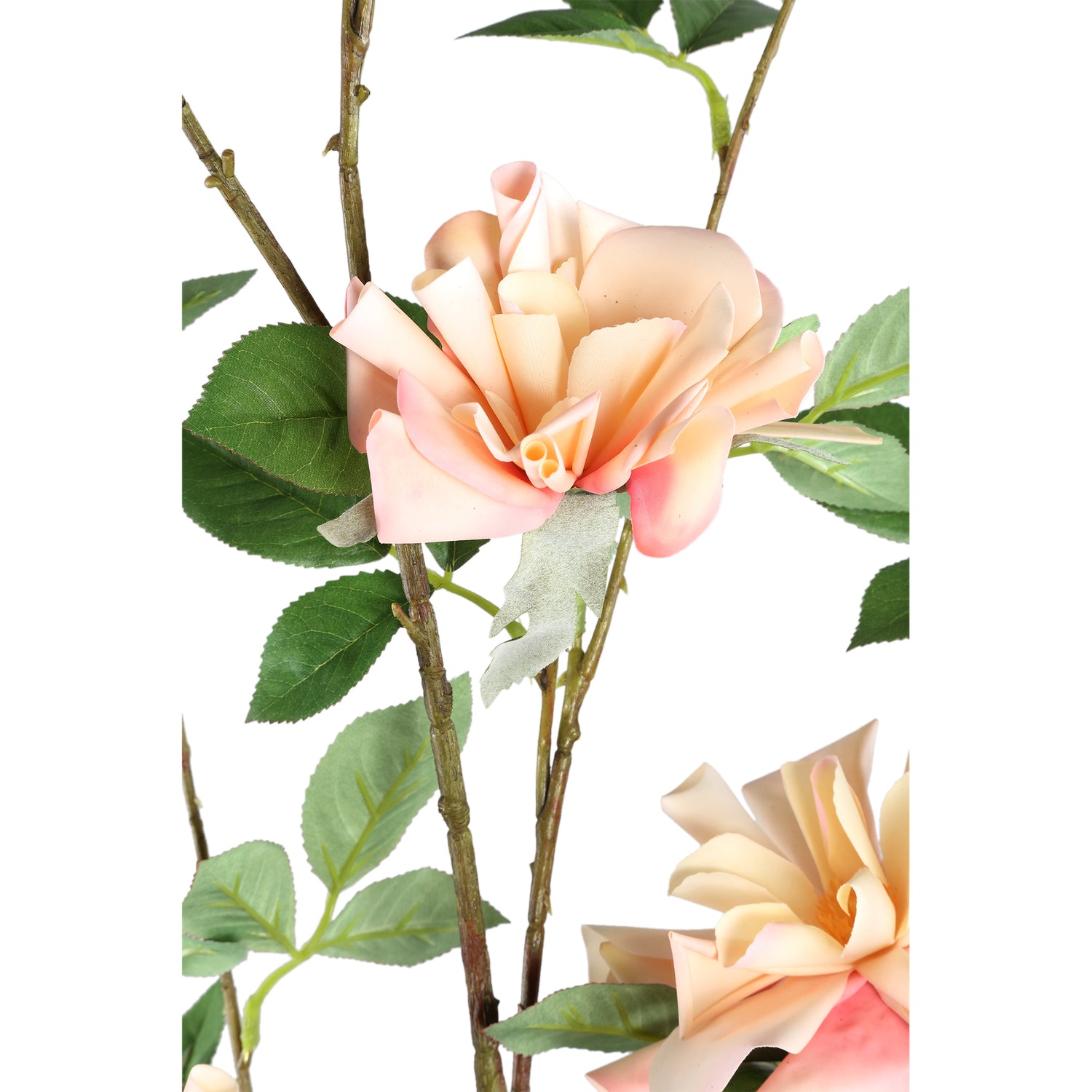 Wildrose Flower Light Pink With Leaves L