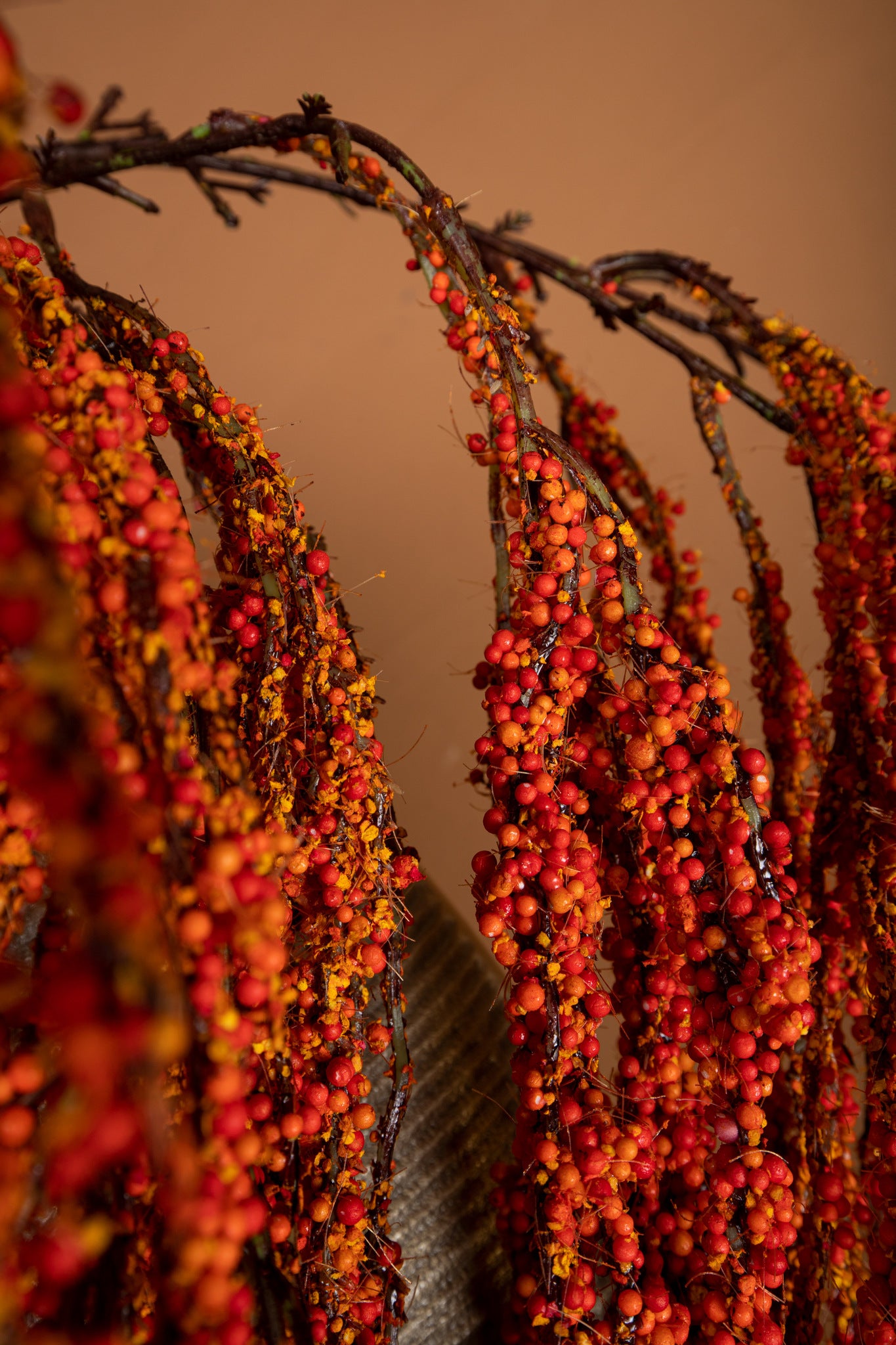 Twig Plant Orange Amaranthus Hanging Spray