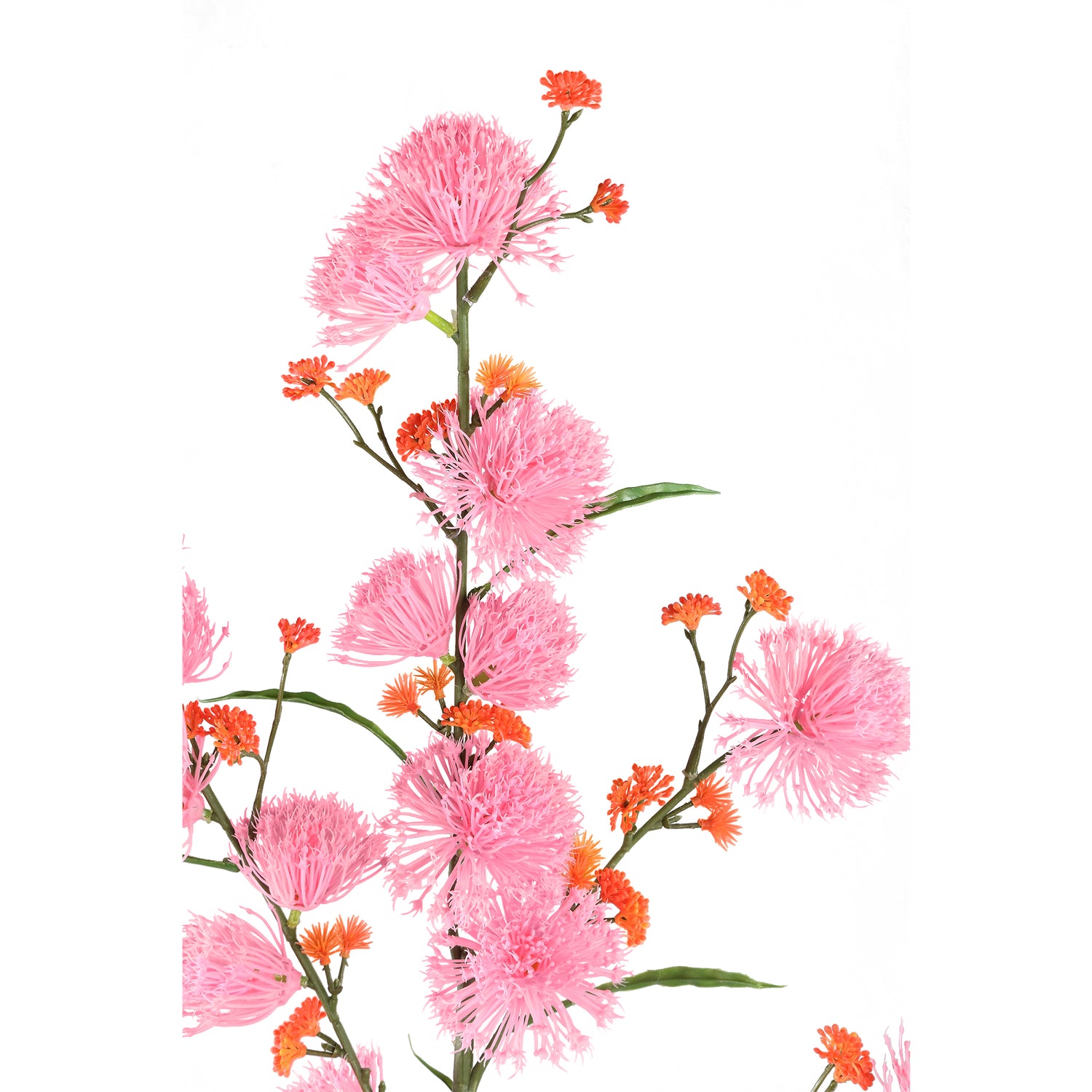 Garden Flower Light Pink Allium Spray