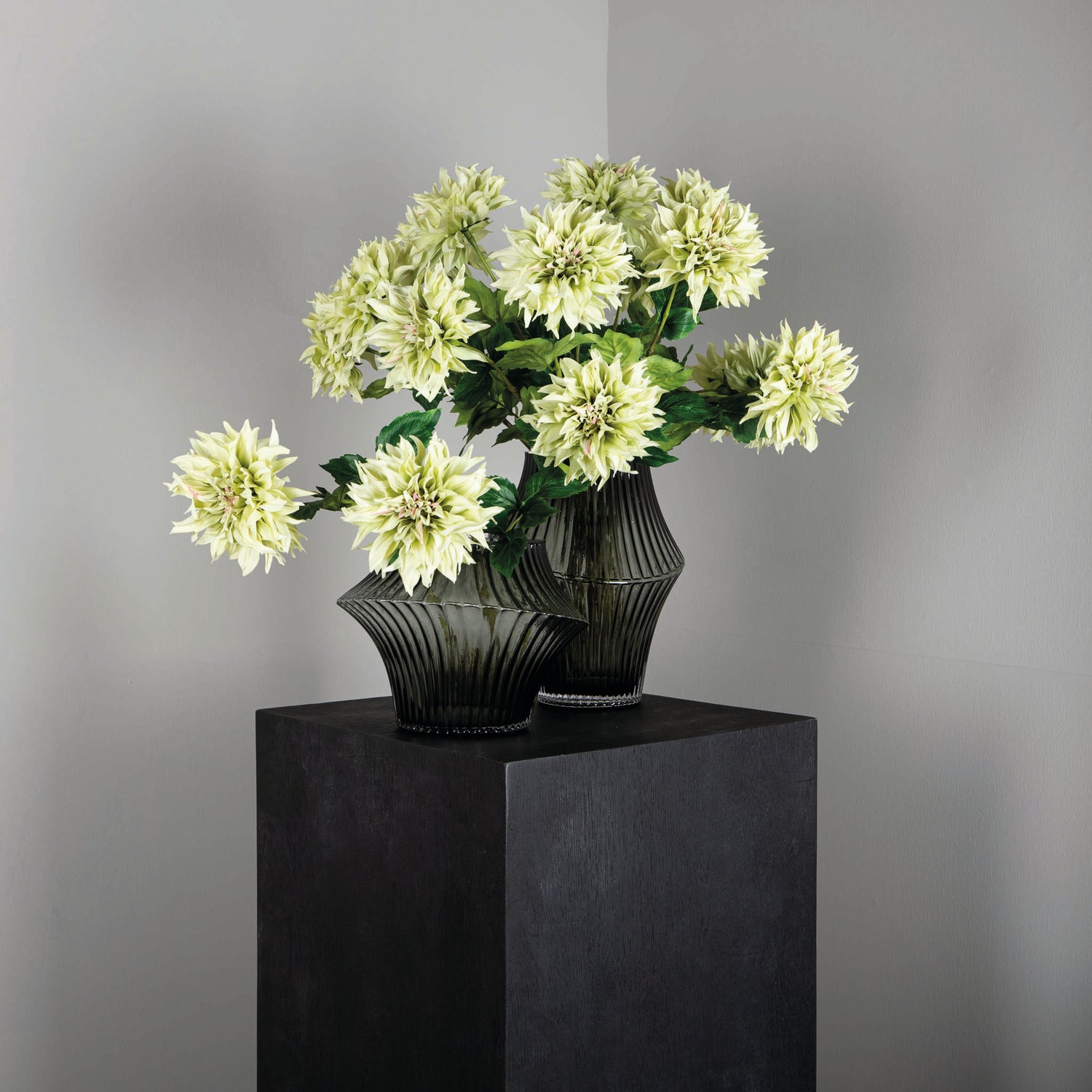 Dahlia Flower Green With Leaves