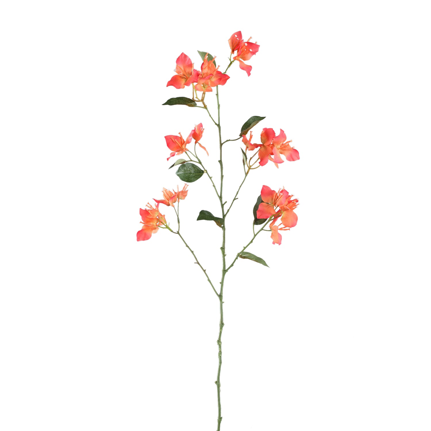 Garden Flower Orange Bougainvillea Spray