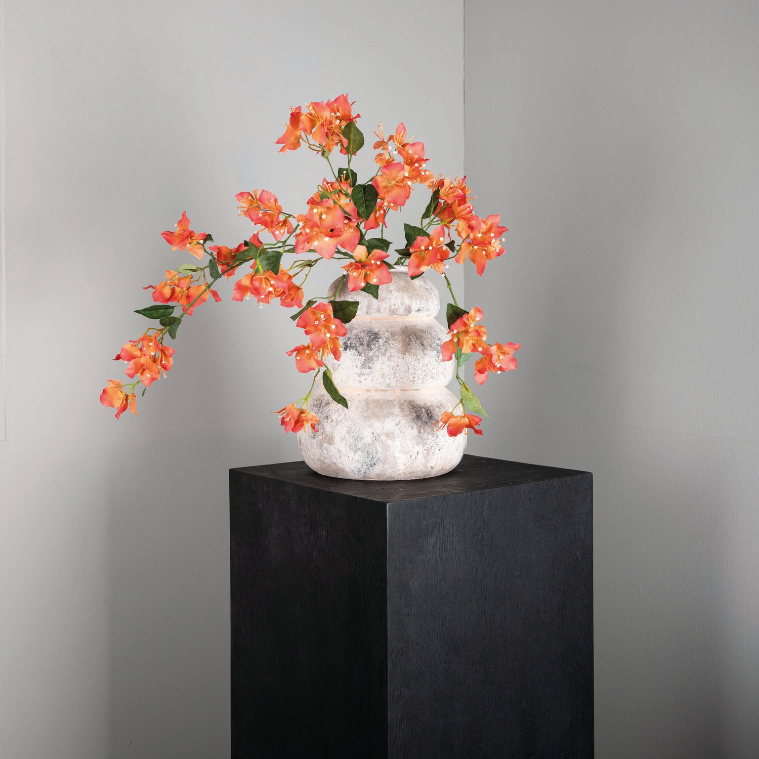 Garden Flower Orange Bougainvillea Spray