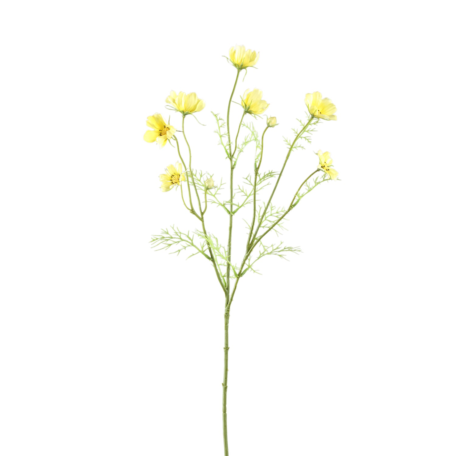 Garden Flower Yellow Cosmos Spray With Buds