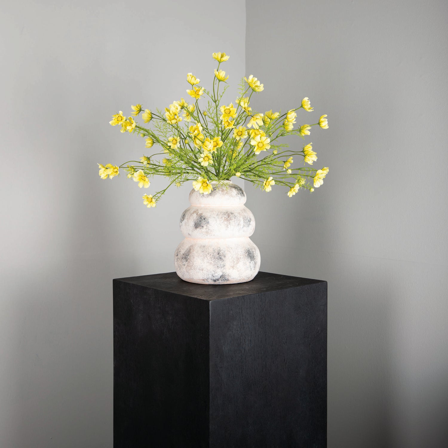 Garden Flower Yellow Cosmos Spray With Buds