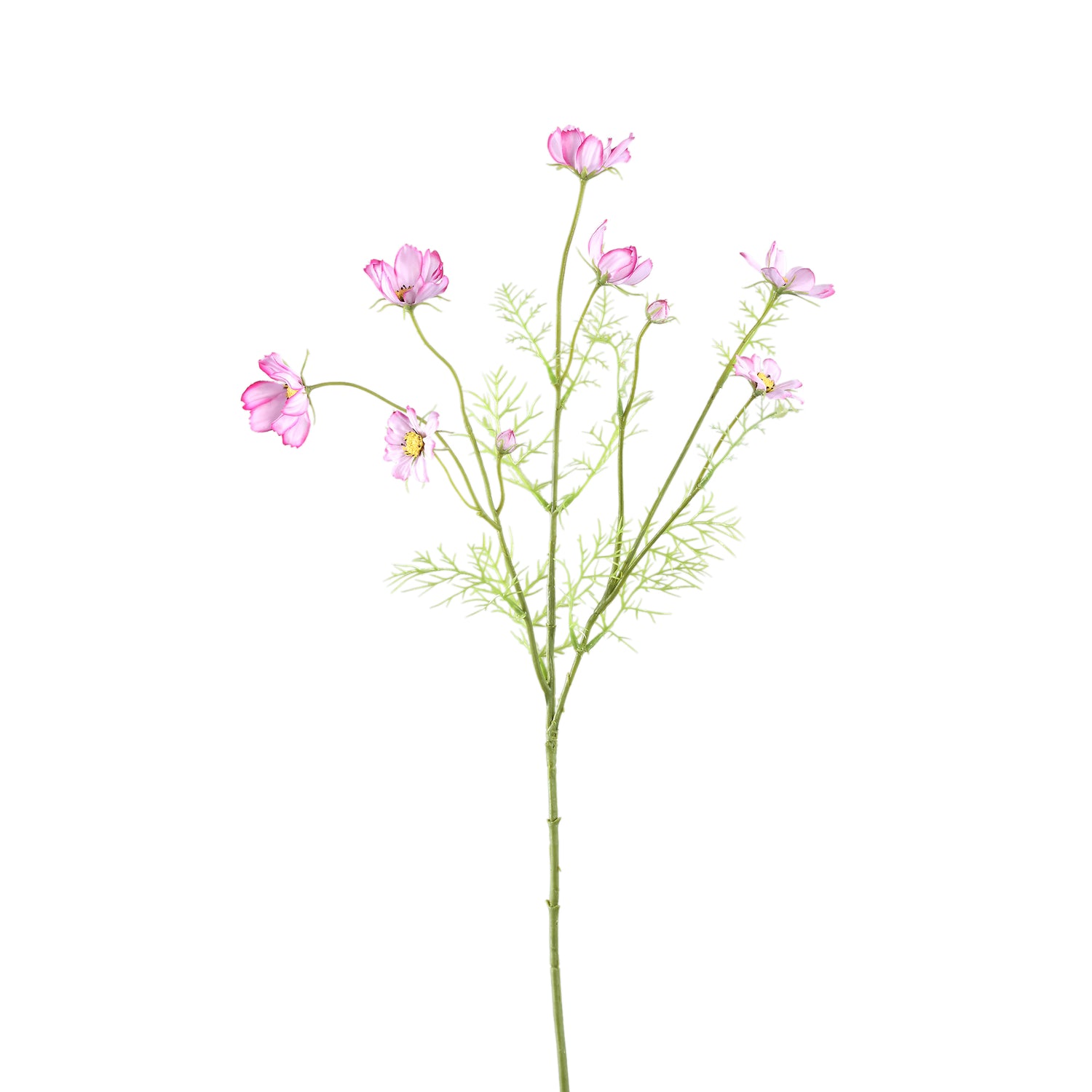 Garden Flower Pink Cosmos Spray With Buds
