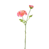 Garden Flower Pink Ranunculus Spray With Buds