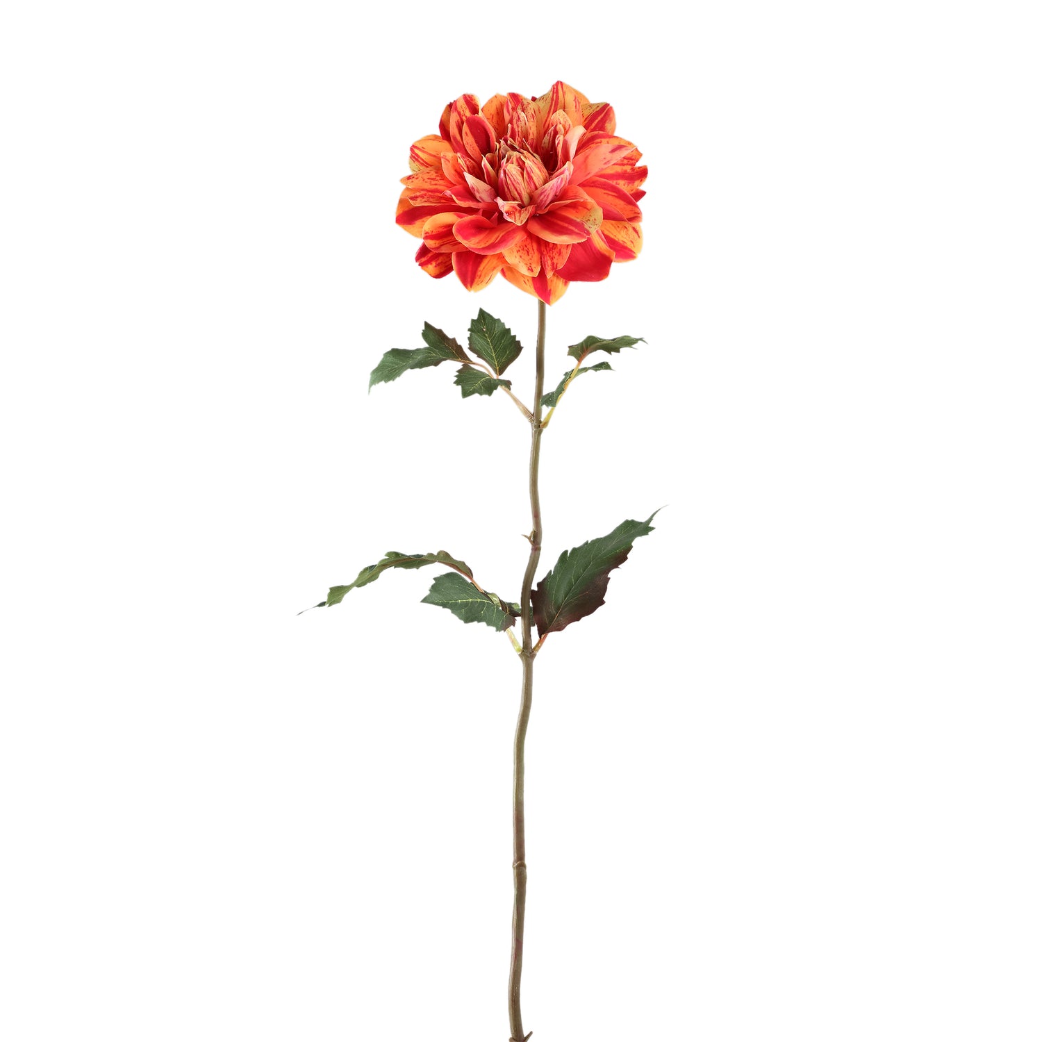 Dahlia Flower Red/yellow Dahlia Spray With Leaves