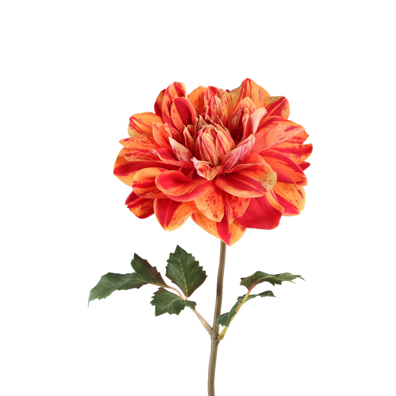 Dahlia Flower Red/yellow Dahlia Spray With Leaves