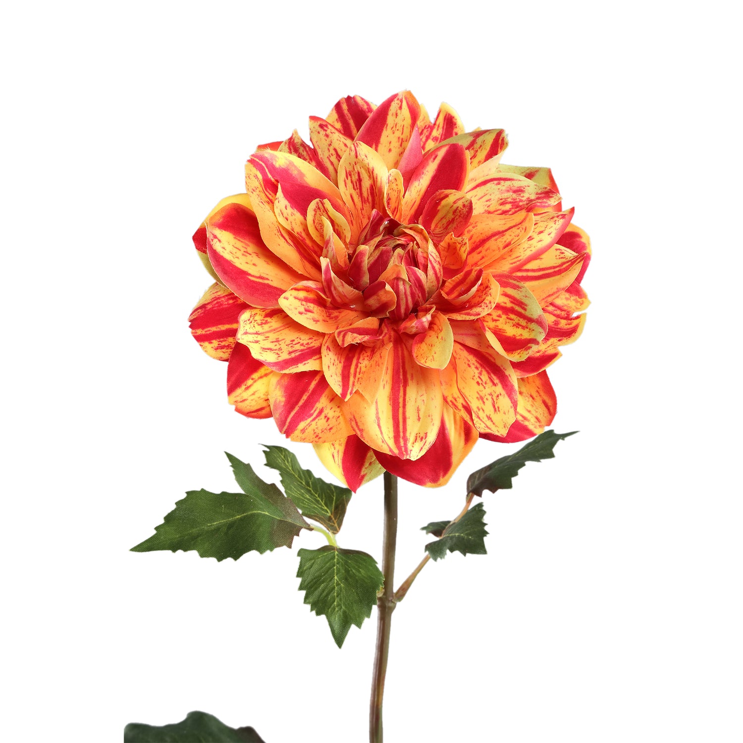 Dahlia Flower Yellow Dahlia Spray With Leaves