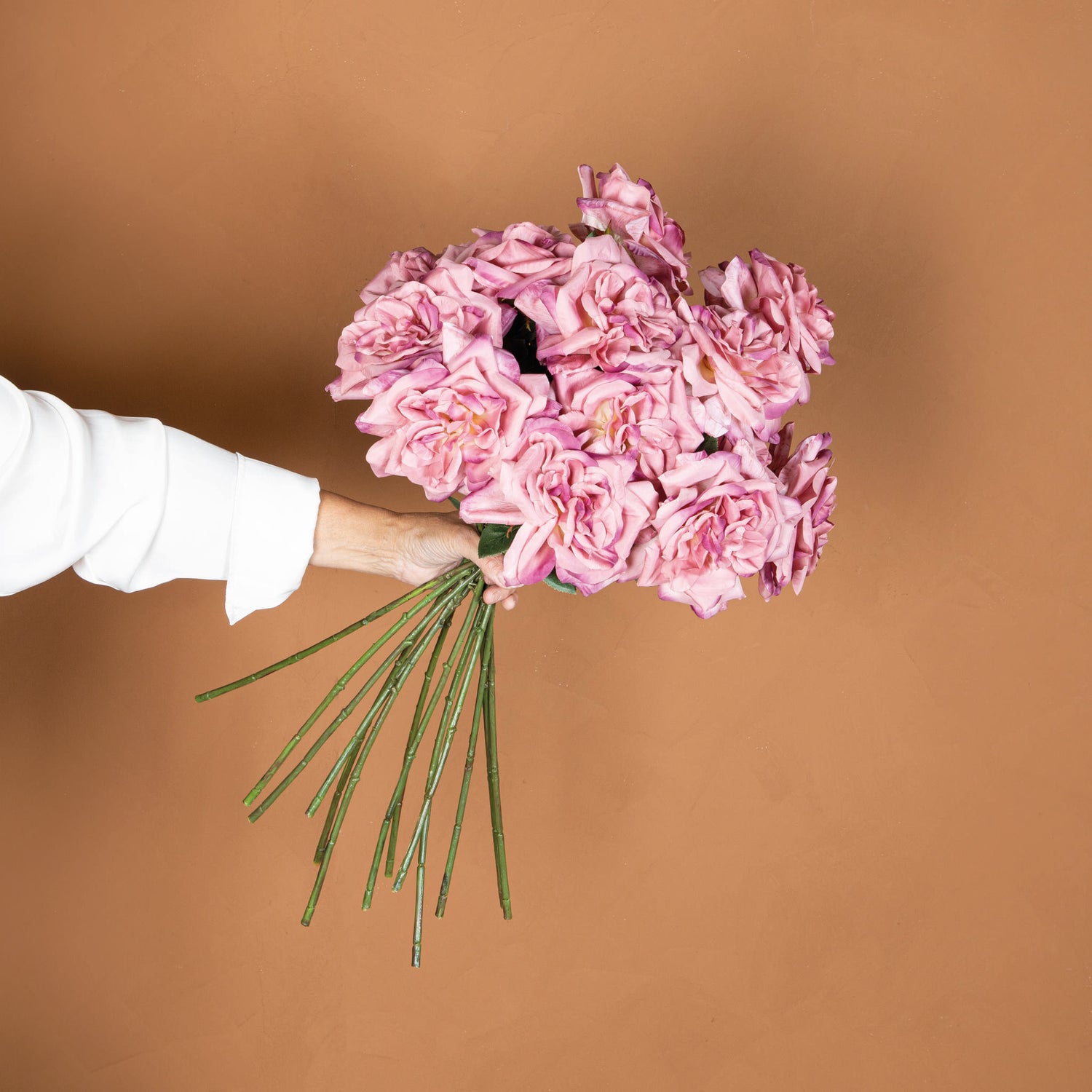 Rose Flower Pink Rose Spray With Leaves