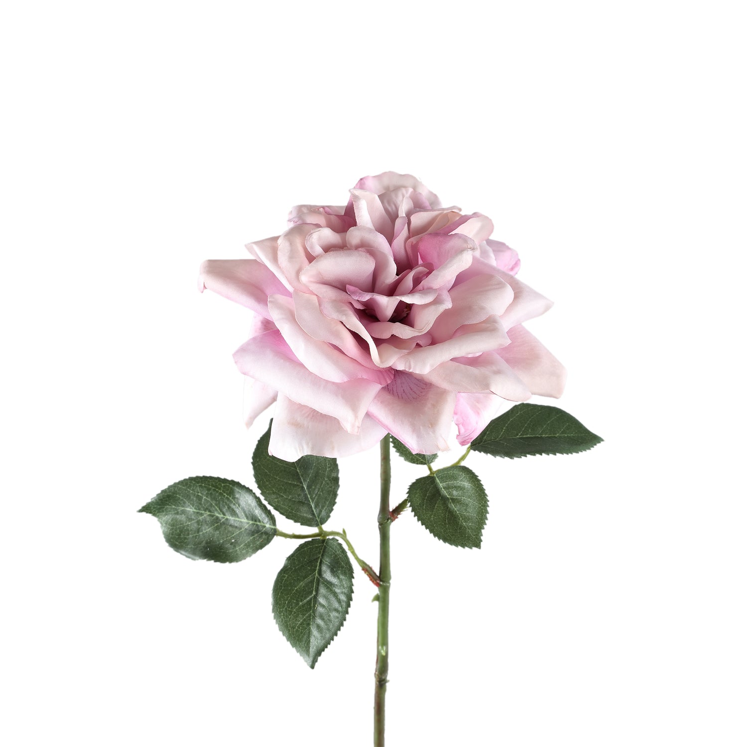 Rose Flower Lilac Rose Spray With Leaves