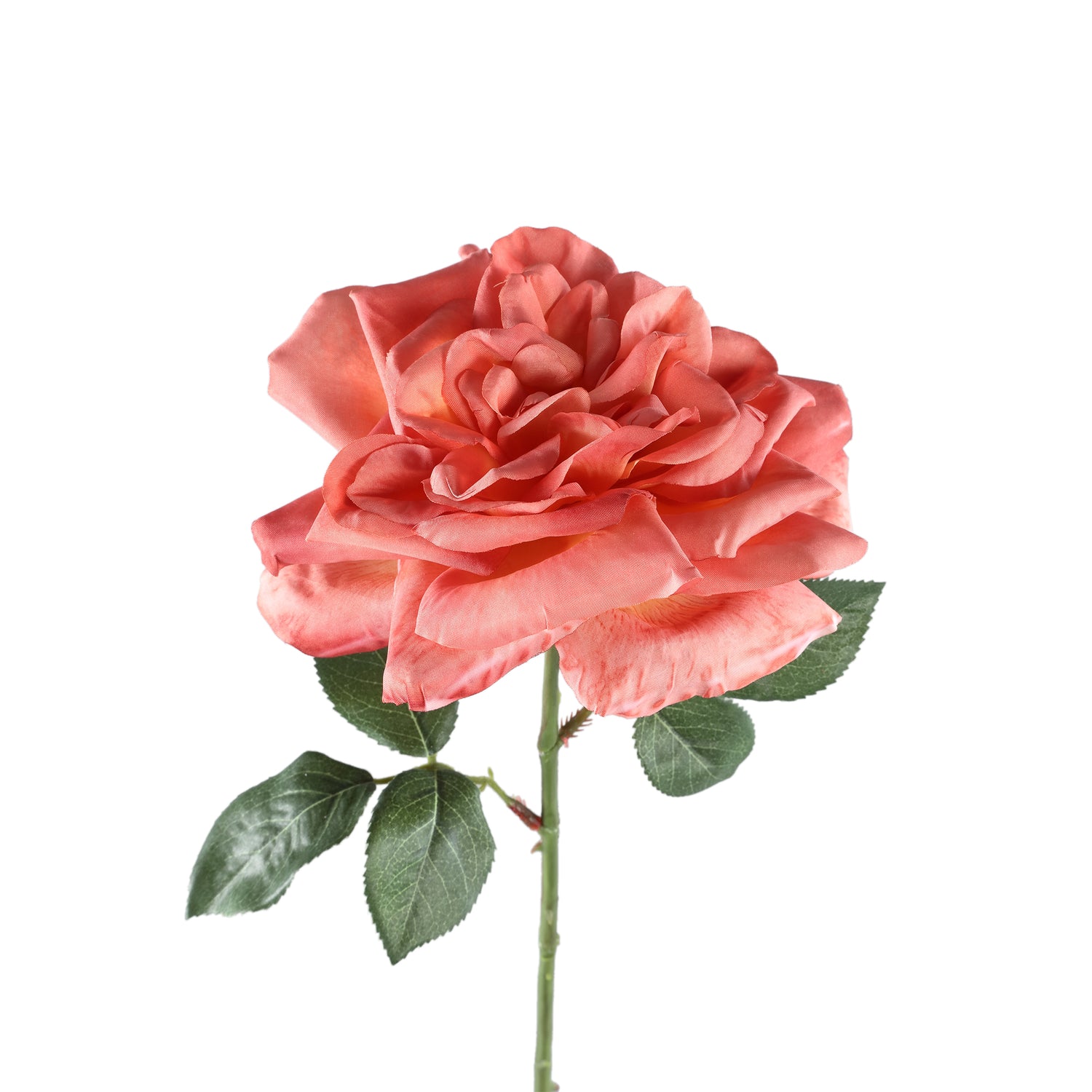 Rose Flower Orange Rose Spray With Leaves