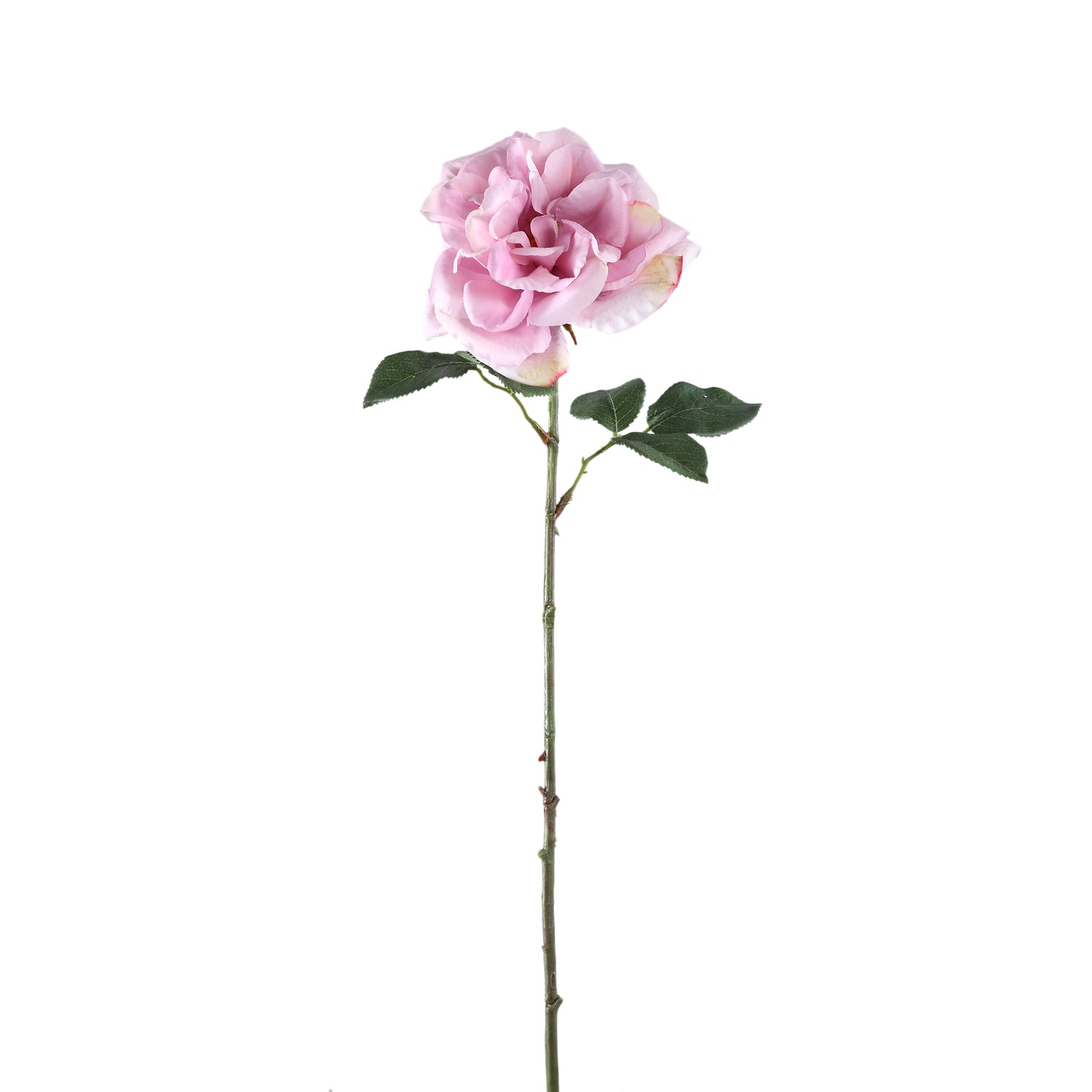 Rose Flower Lilac Rose Spray With Leaves