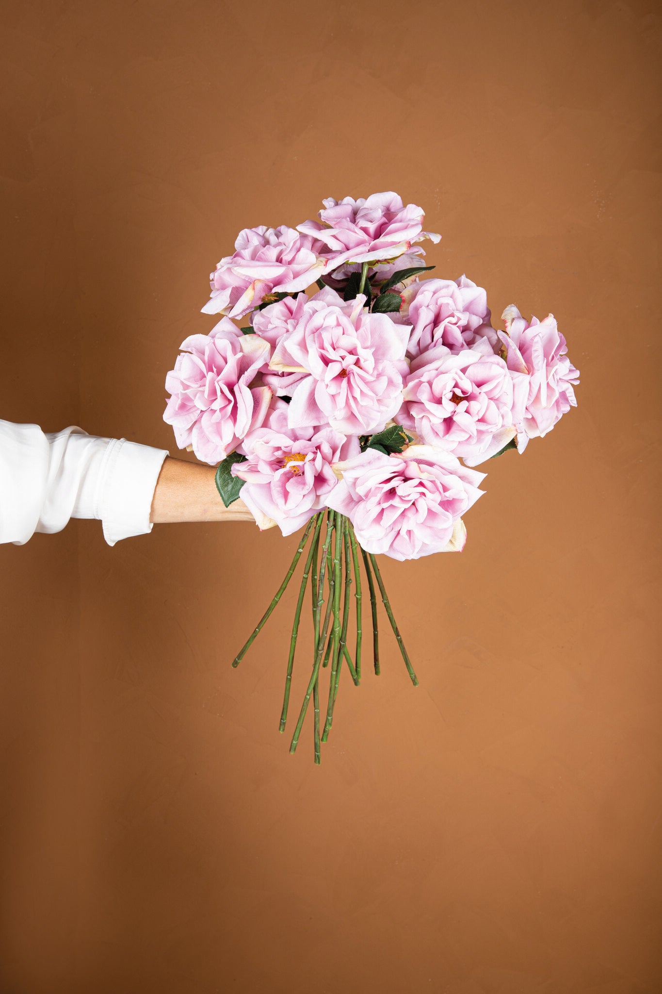 Rose Flower Lilac Rose Spray With Leaves