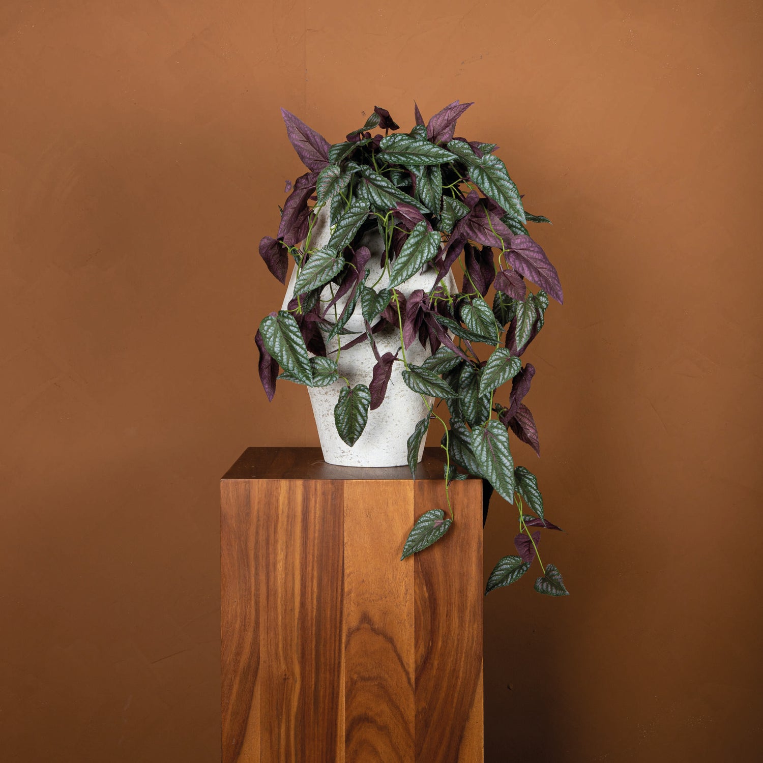 Leaves Plant Green Vine Leaves