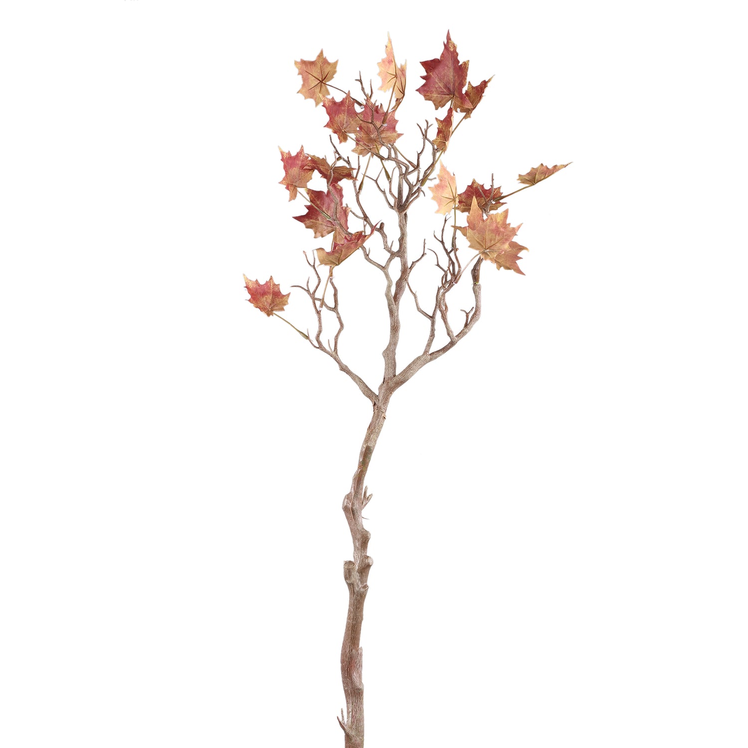 Leaves Plant Red Yellow Maple Leaves Spray