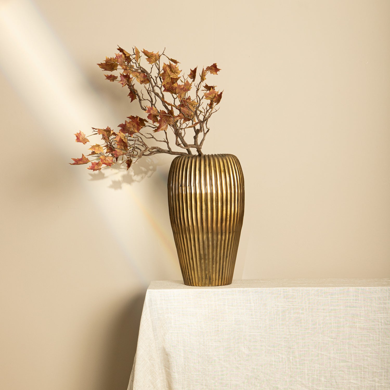 Leaves Plant Red Yellow Maple Leaves Spray