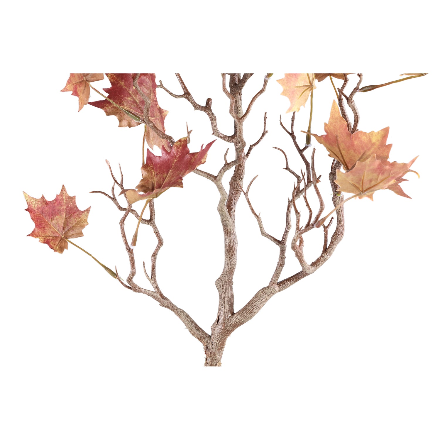 Leaves Plant Red Yellow Maple Leaves Spray