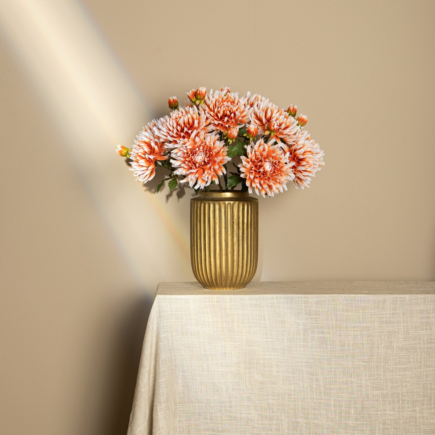 Dahlia Flower Orange White Dahlia Stem With Bud