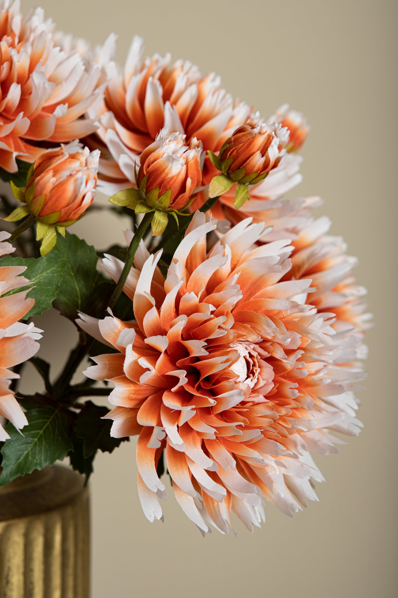 Dahlia Flower Orange White Dahlia Stem With Bud