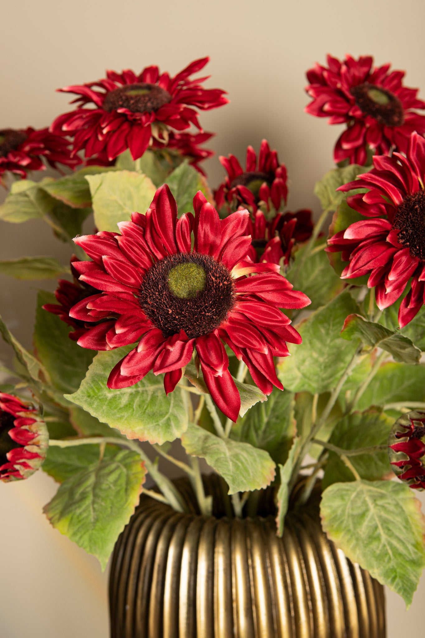 Garden Flower Red Sunflower Stem With Leaves