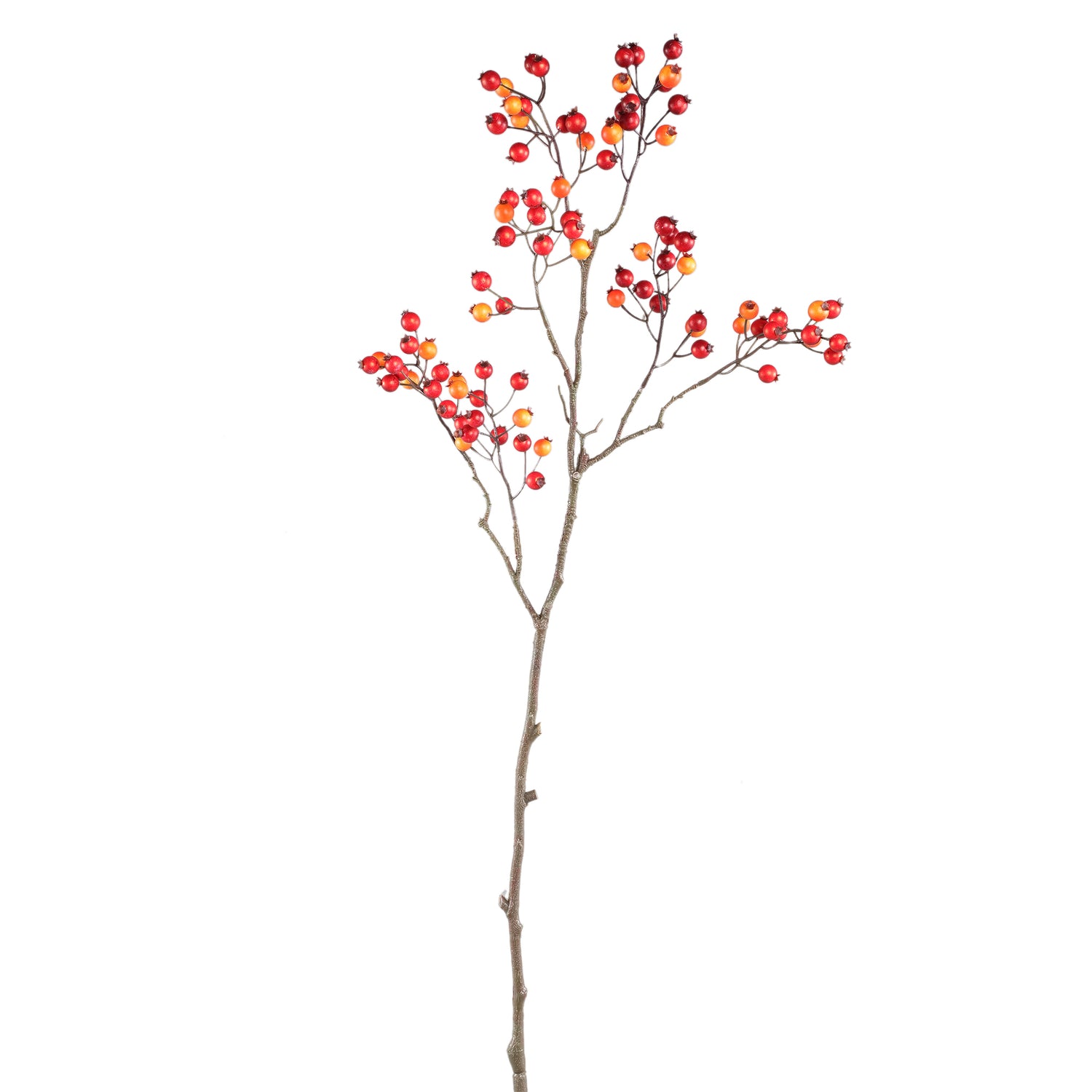 Berry Plant Red Orange Rose Hip Spray