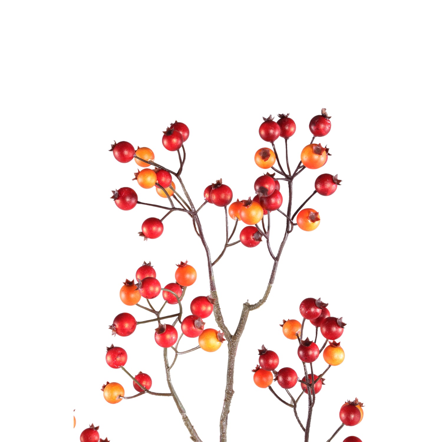 Berry Plant Red Orange Rose Hip Spray